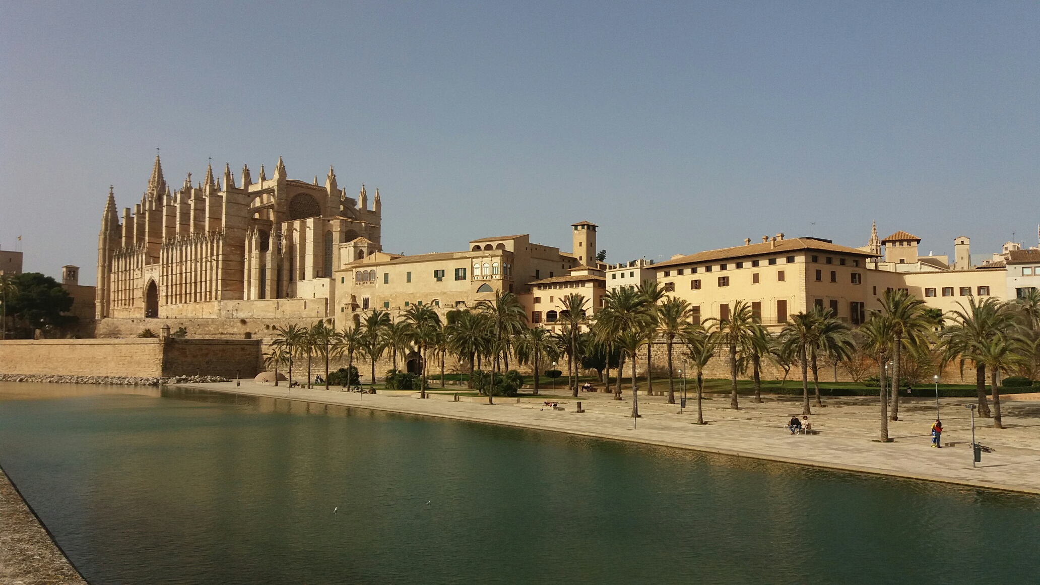 Palma